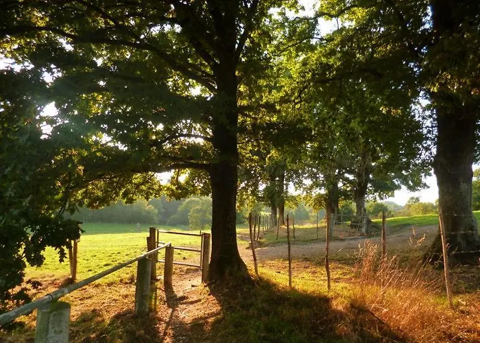 펜션 Calme Et Spacieux Pour Amoureux De La Nature *